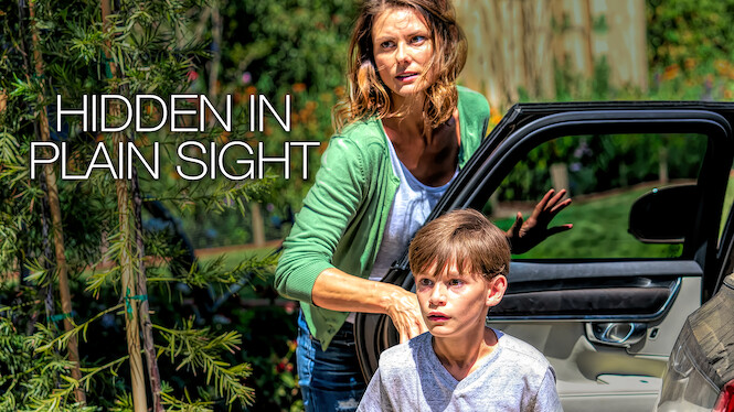 Hidden in Plain Sight (2019) - Netflix | Flixable