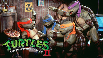 Teenage Mutant Ninja Turtles II: The Secret of the Ooze